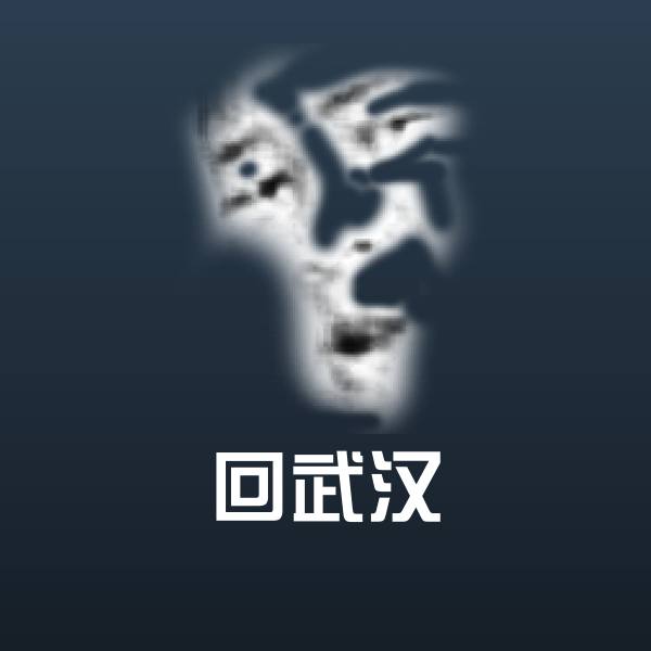 回武汉斗图图片