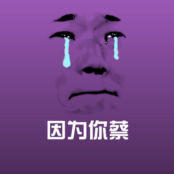 搞笑因为你蔡表情