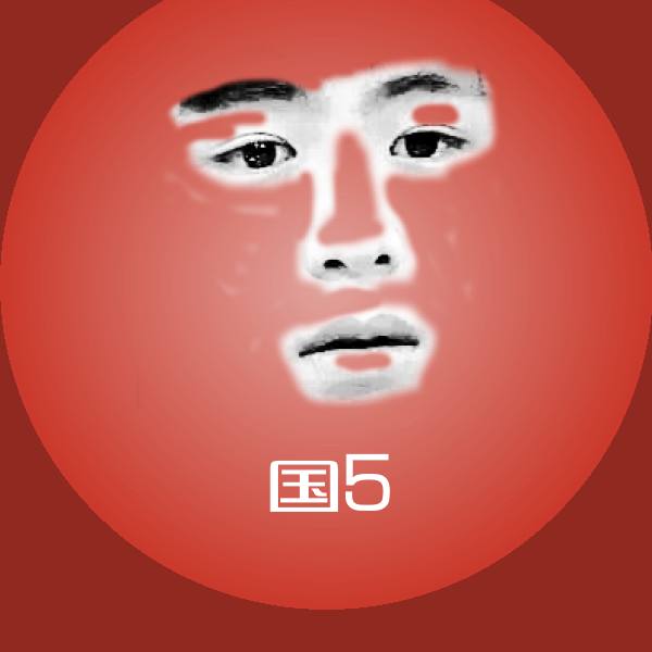 搞笑国5表情