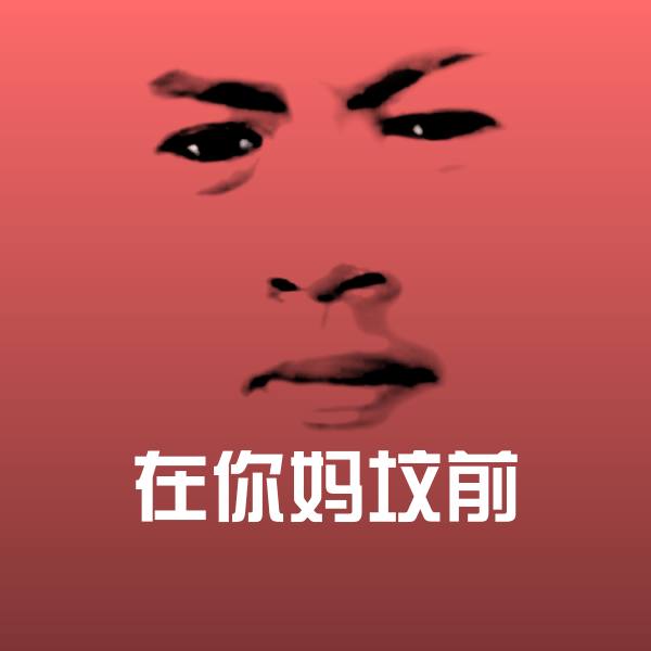 在你妈坟前斗图神器