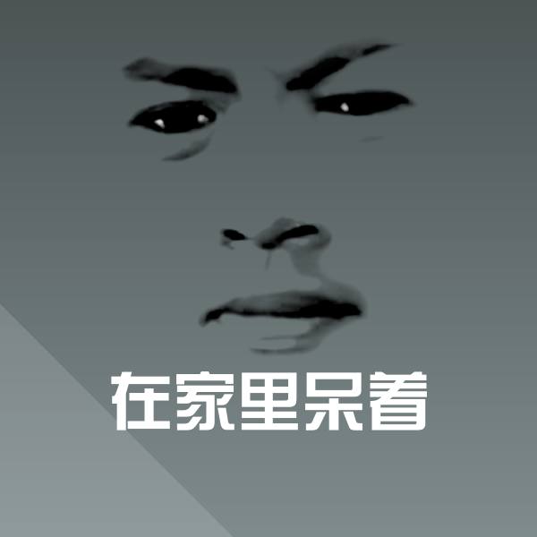 在家里呆着斗图神器