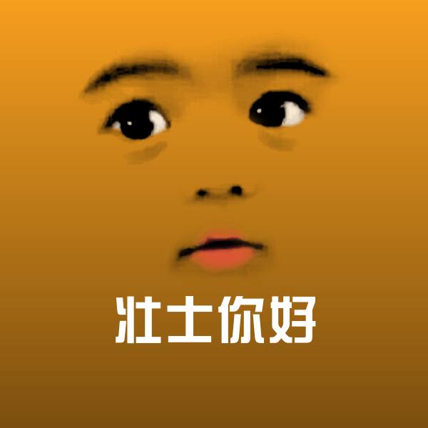 壮士你好斗图神器