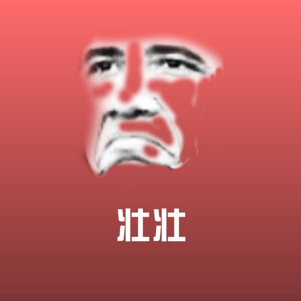 壮壮微信表情包