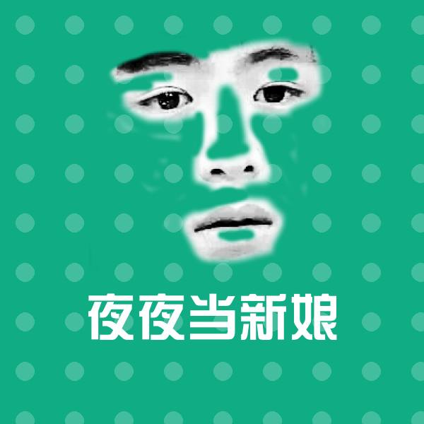 夜夜当新娘斗图图片