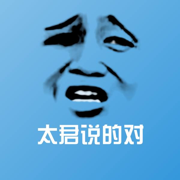 太君说的对聊天表情 第1张