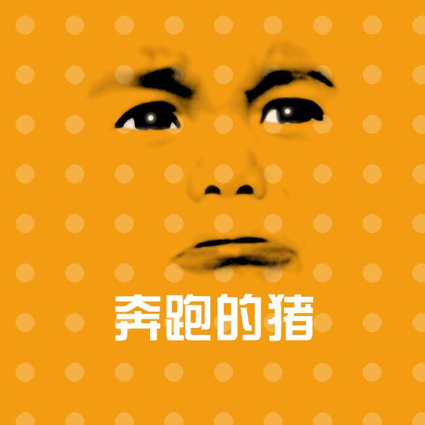 奔跑的猪斗图神器
