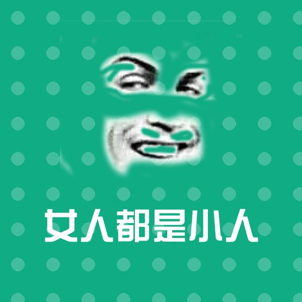 搞笑女人都是小人表情 第1张