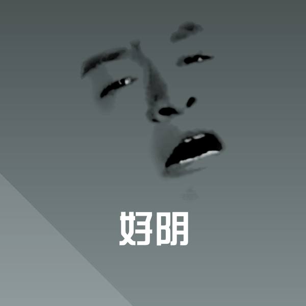 好阴聊天表情