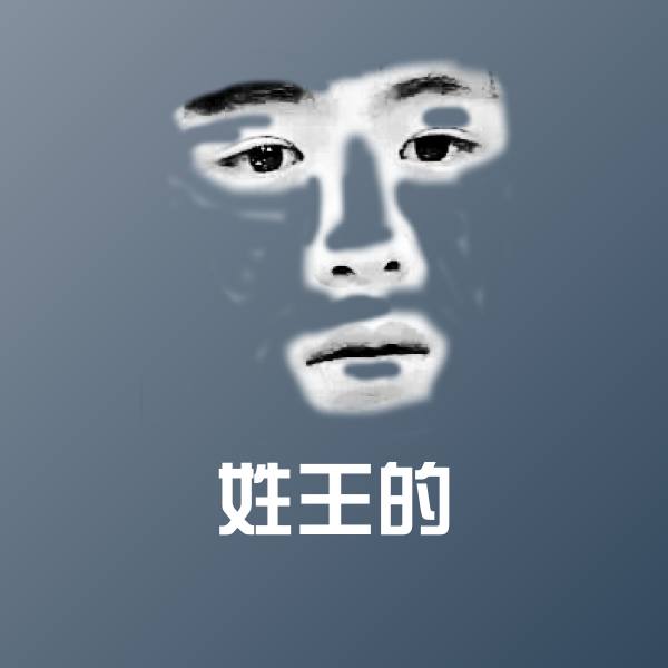 搞笑姓王的表情