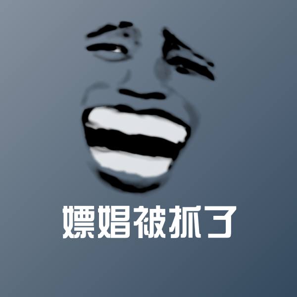 嫖娼被抓了斗图图片