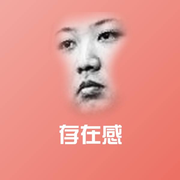 存在感斗图图片