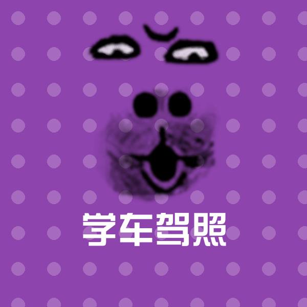 学车驾照斗图图片