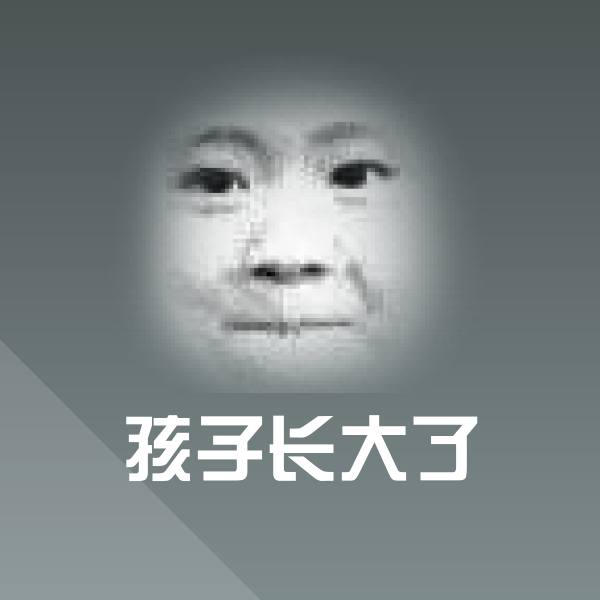 孩子长大了沙雕表情包