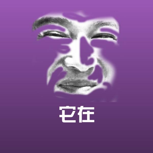 它在沙雕表情包