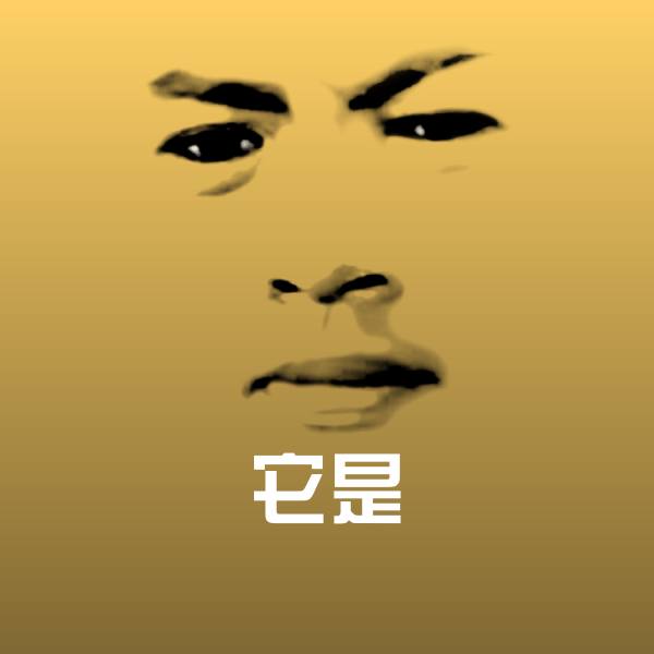 它是表情包