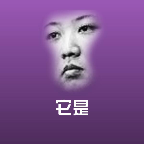 它是聊天表情