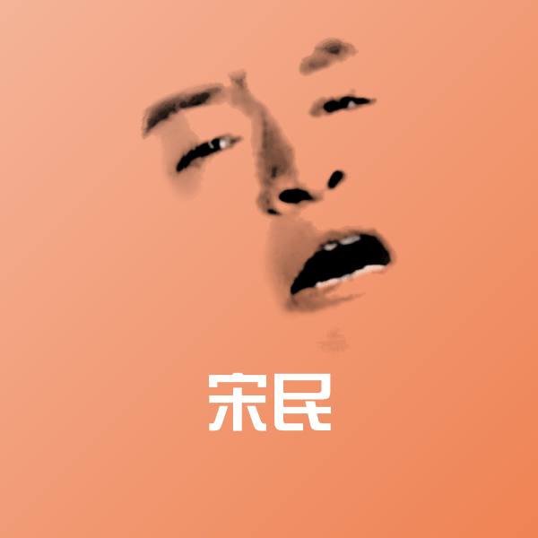 宋民表情包