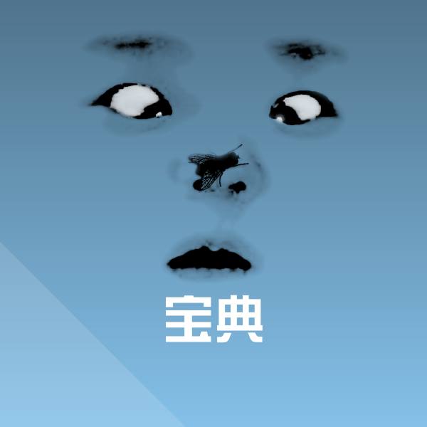 宝典聊天表情