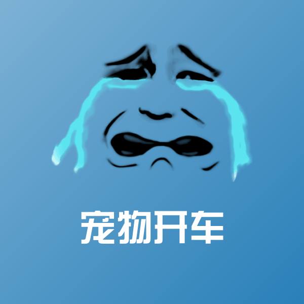 宠物开车聊天表情