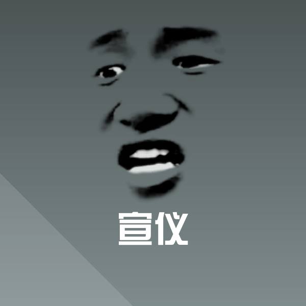 原创宣仪表情包