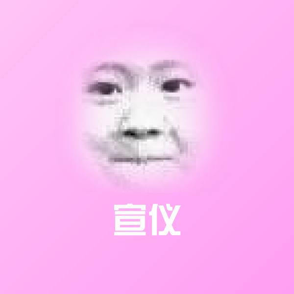 搞笑宣仪表情