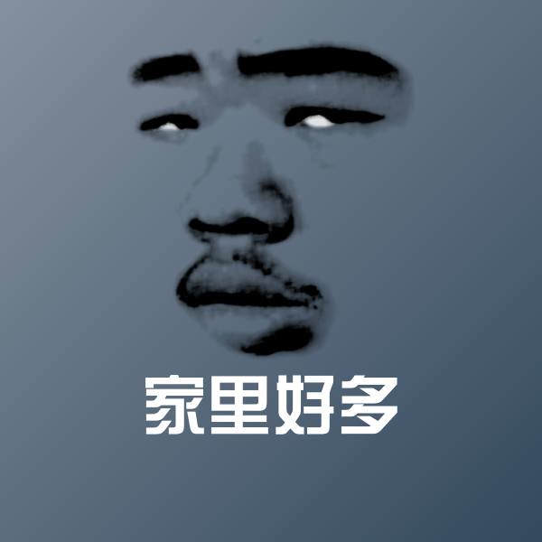 原创家里好多表情包