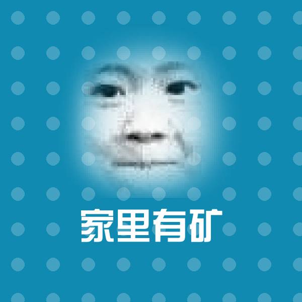 家里有矿斗图神器