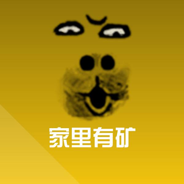 家里有矿斗图神器