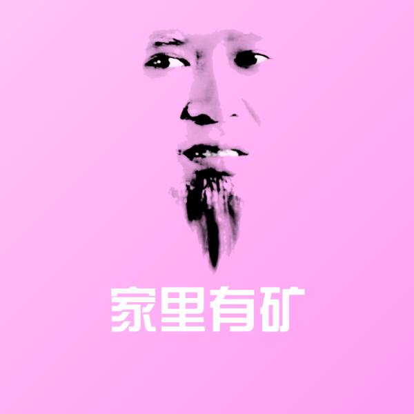 家里有矿聊天表情