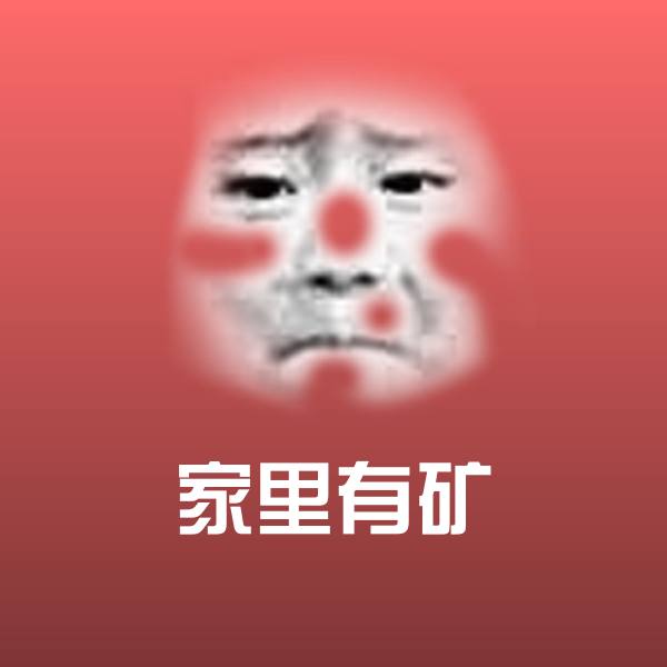 原创家里有矿表情包