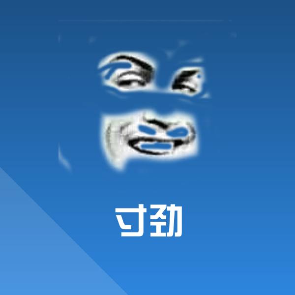 寸劲聊天表情