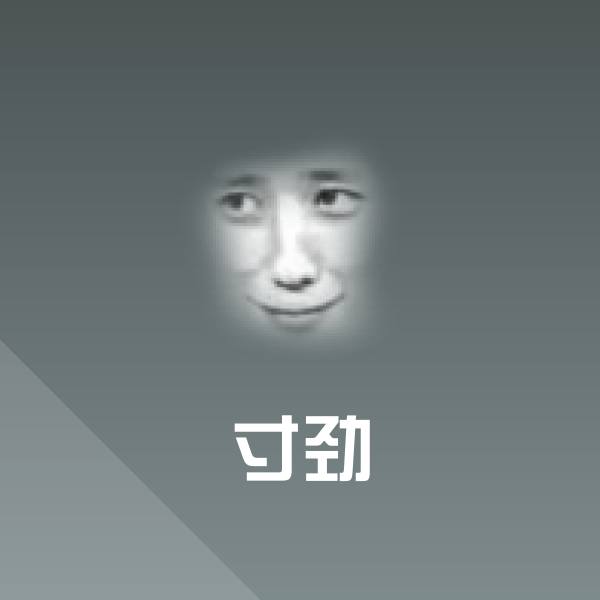 寸劲表情包