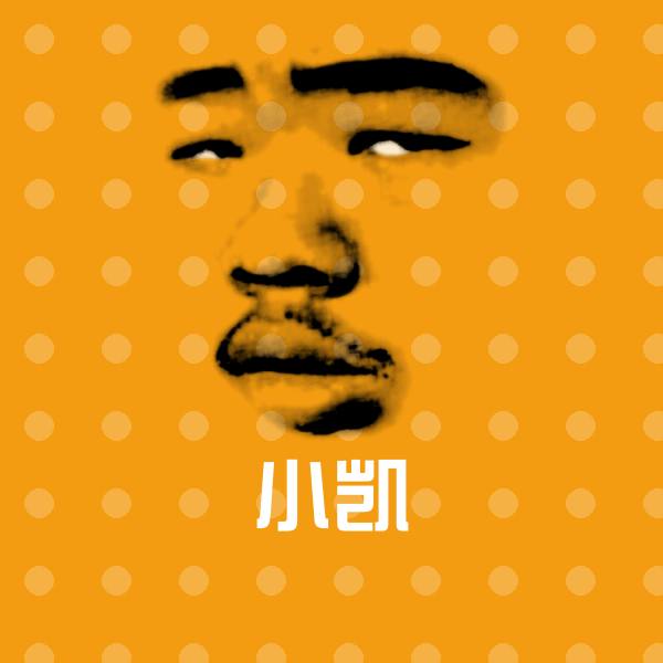 可爱小凯表情