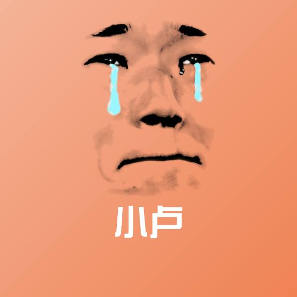搞笑小卢表情