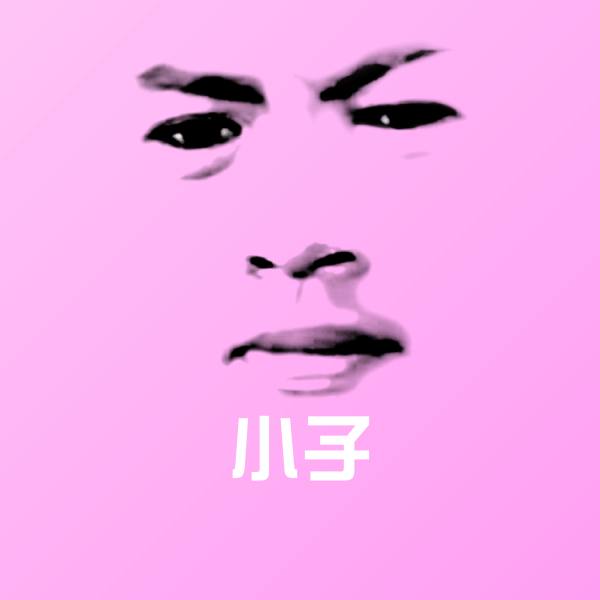 小子斗图神器