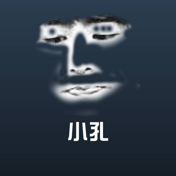 搞笑小孔表情