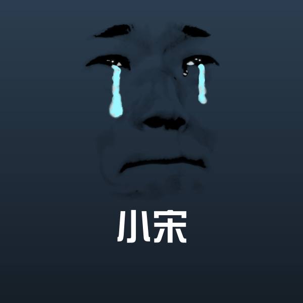 搞笑小宋表情