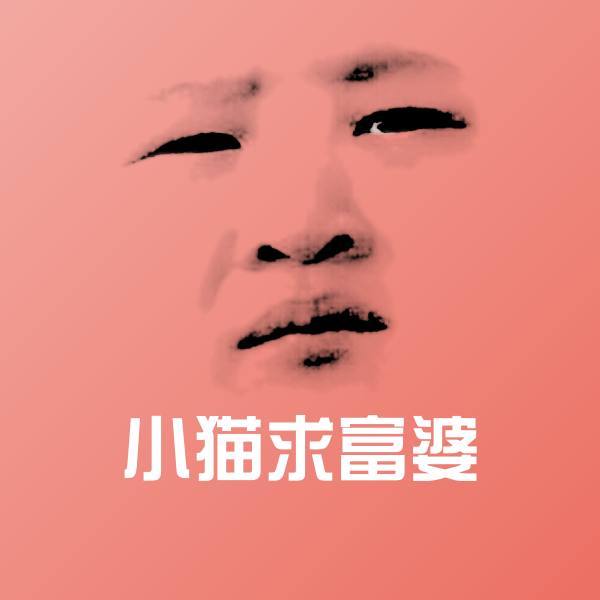 小猫求富婆斗图神器