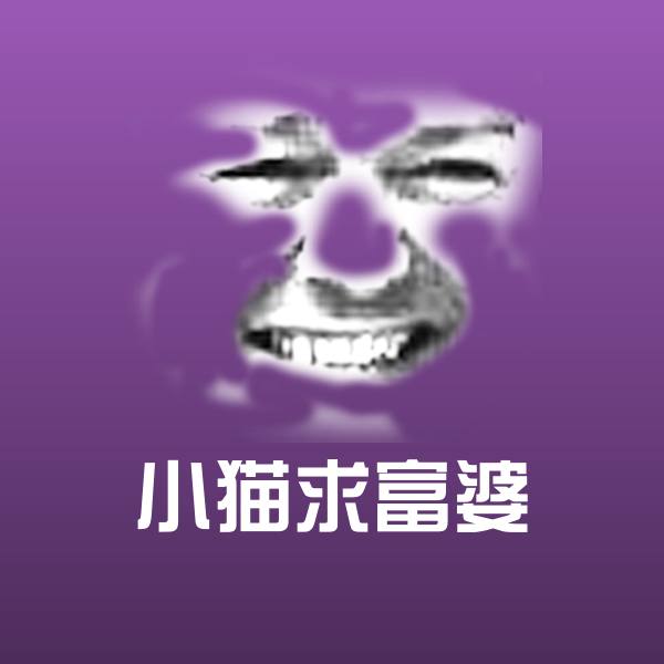 原创小猫求富婆表情包