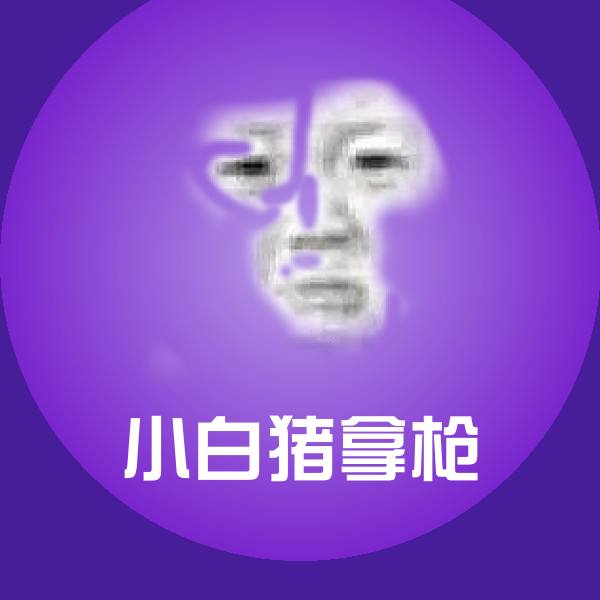 可爱小白猪拿枪表情
