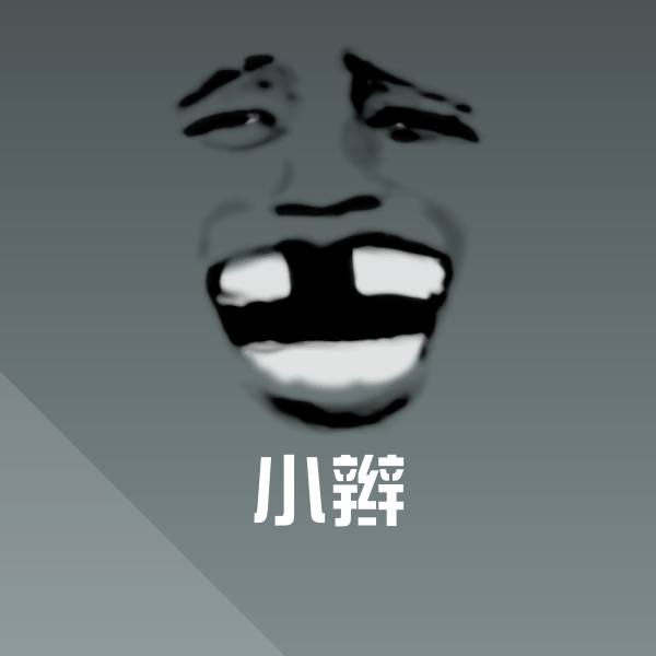 小辫表情包