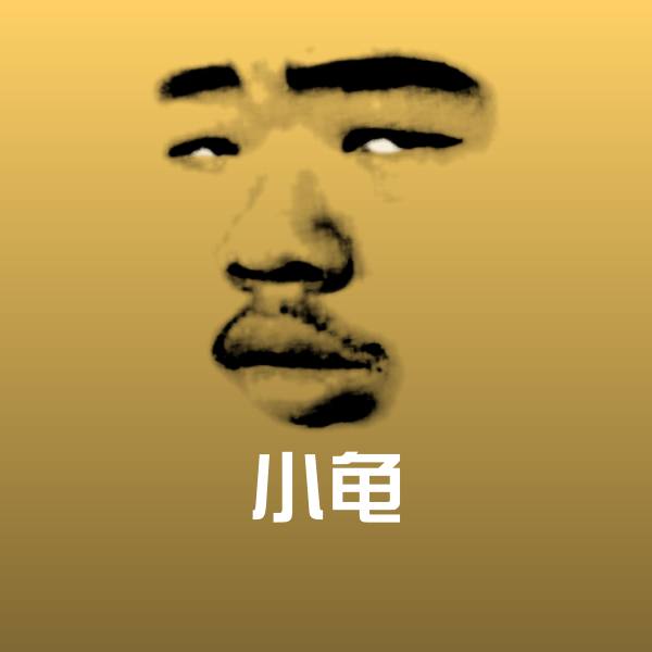 小龟沙雕表情包