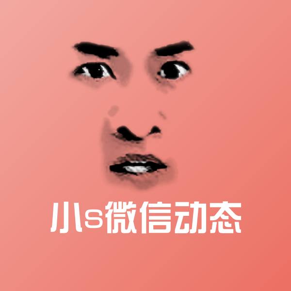 小s微信动态沙雕表情包
