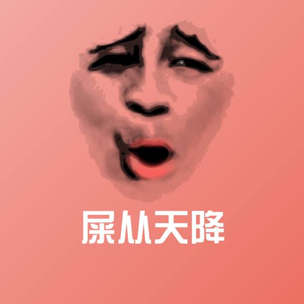 屎从天降表情包