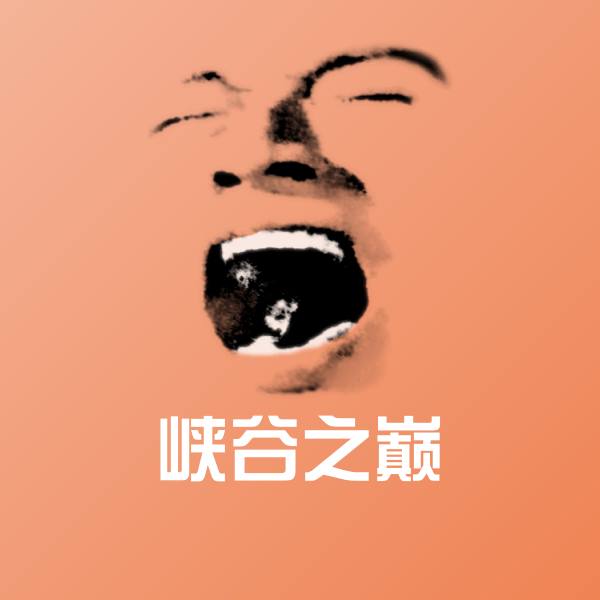 峡谷之巅沙雕表情包