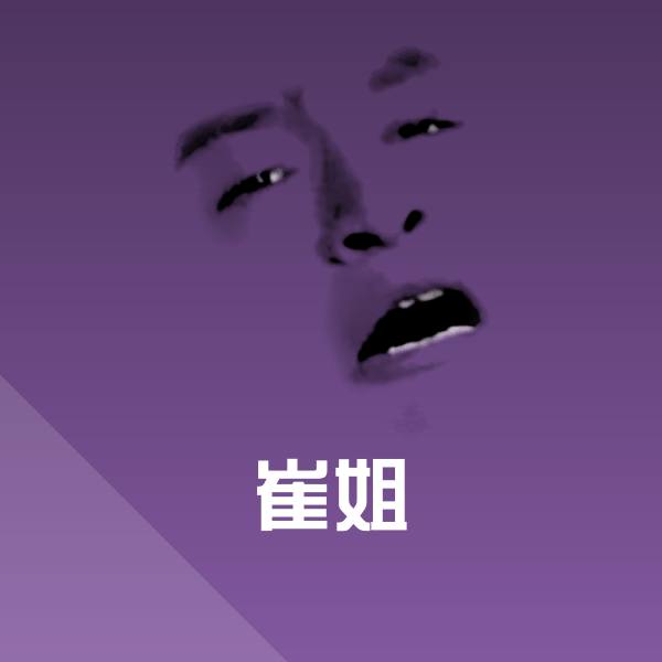 搞笑崔姐表情