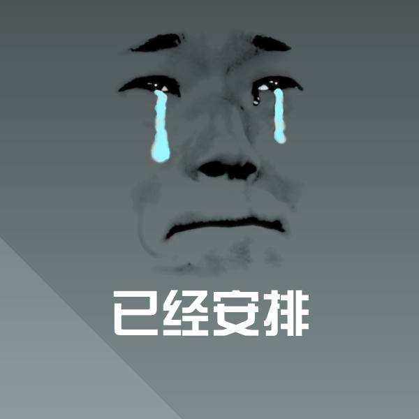 已经安排微信表情包