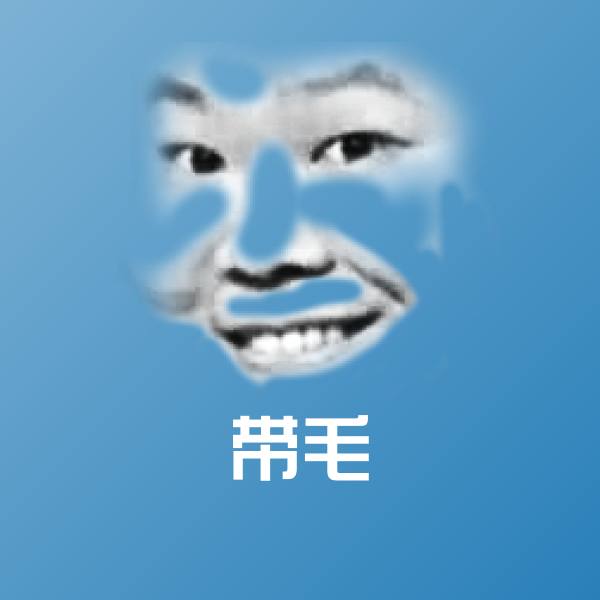 带毛斗图神器