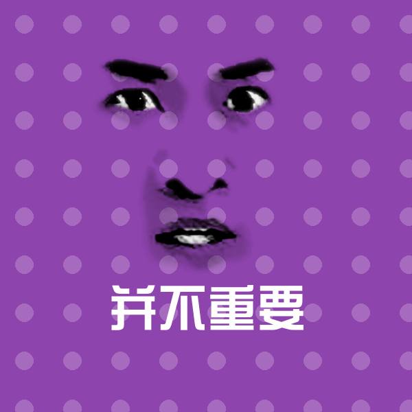 并不重要表情包
