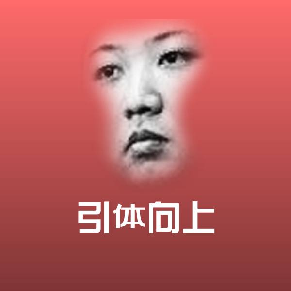 引体向上沙雕表情包